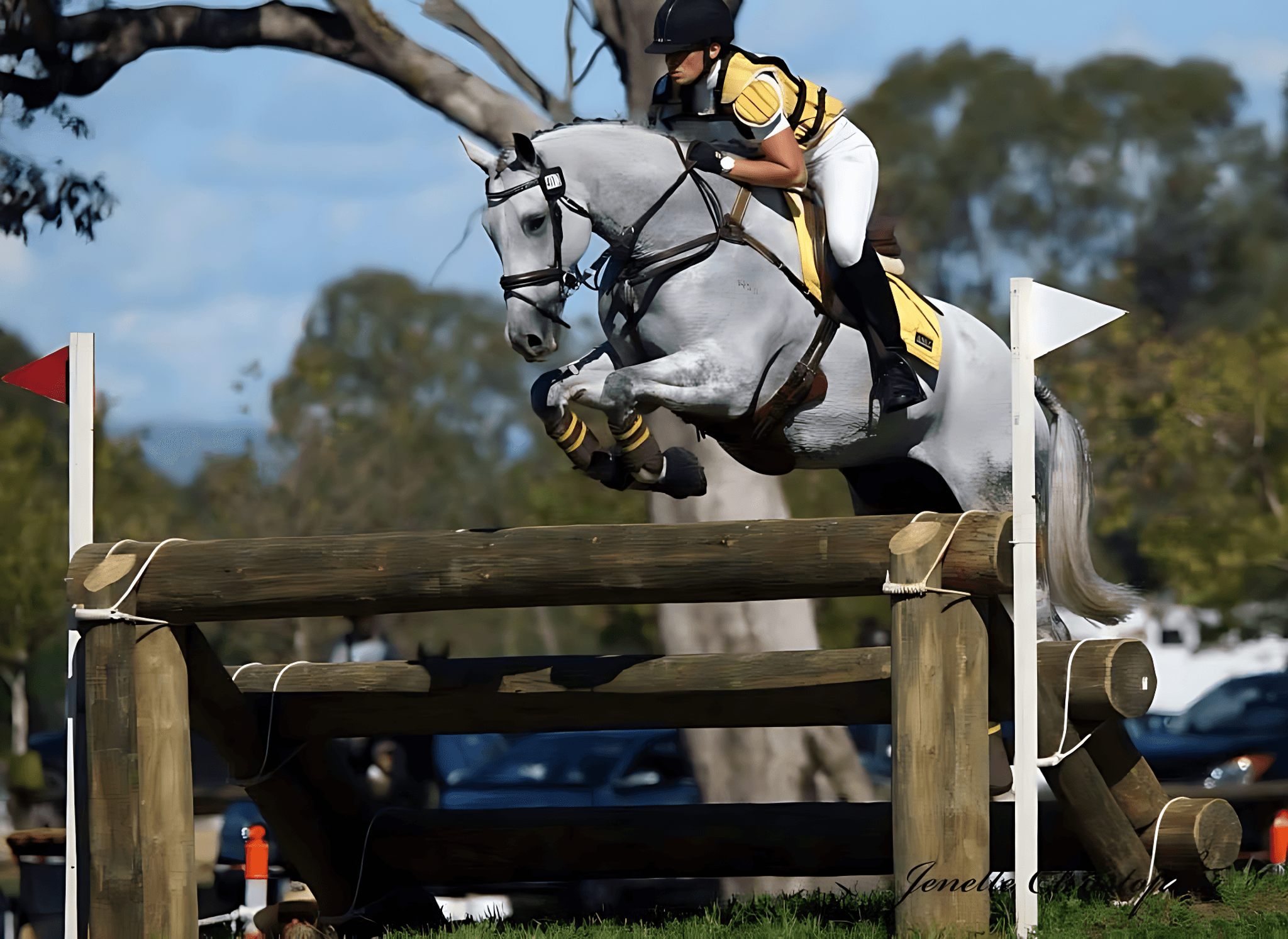 Image - Introduction